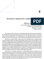 El Pastoreo Organizacion e Implementacion