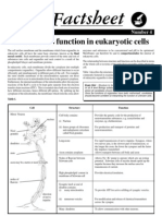 04 Structure To Function