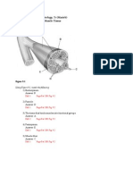 Chapter 9 Muscles and Muscle Tissue