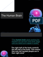 Human Brain