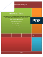 Proyecto CLIMA ORGANIZACIONAL1