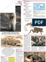 Wildlife Fact File - Mammals - Pgs. 81-90