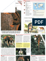 Wildlife Fact File - Mammals Pgs. 331-340