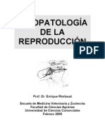 Fisiopatologia de La Reproduccion