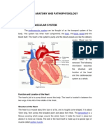 I. Anatomy and Pathophysiology: Cardiovascular System Heart Blood Vessel