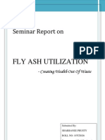 FLY ASH The Report