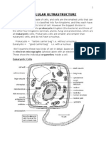 Cellular Ultrastructure: Eukaryotic Cells