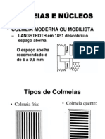 02-Colmeias e Núcleos