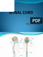 Disorders of The Spinal Cord