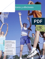 Efectores y Receptores PDF