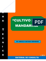 Ficha Técnica: Mandarina 2013.