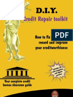 DIY Credit Repair Preview