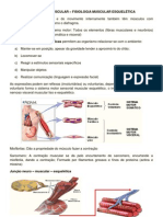 Contração Muscular - Sistema Cardiovascular PDF