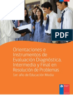 Orientaciones e Instrumentos Eval Diag Intermedia-Final Res Prob 1