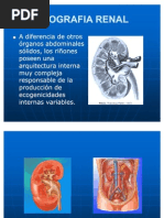 Ecografia Renal