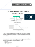 Trafic Intracellulaire Et Compartiment Cellulaire