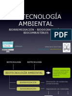 Biotecnologia Ambiental