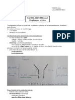 Diaphragm Pelvien