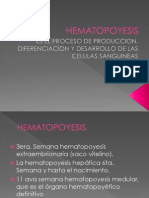 HEMATOPOYESIS