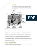 Questoes Uno Histologia Animal