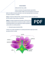 Ciencias Sociales