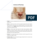 Anatomy and Physiology of Female Reproductive System