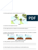 Ficha Avaliação CN5 - Rochas e Solo PDF