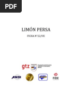 22 Limon Persa