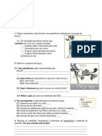 Ficha Avaliação 6º Ano - Alimentação e Reprodução Das Plantas PDF