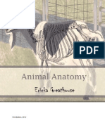 Animal Anatomy