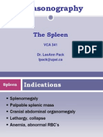 US Spleen