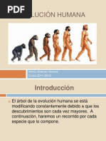 Evolución Humana