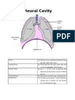 Pneumothorax