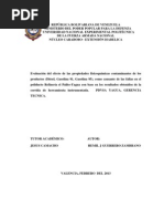 Informe de Pasantias Hemil Guerrero