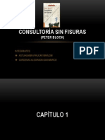 Consultoría Sin Fisuras Cap 1