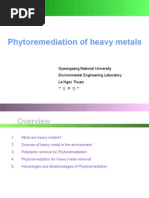 Phytoremediation For Heavy Metal