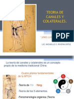 Teoria de Canales y Colaterales Lic. Michelle