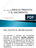 El Desarrollo Prenatal y El Nacimiento