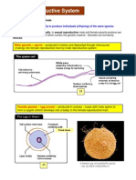 The Reproductive System