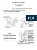 Chapter 2 - Biological Basis of Human Behavior