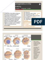 Cytogenetics Lesson 1