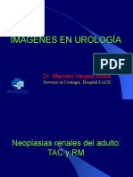 Imagenes en Urologia FACH