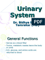 Anatomy and Physiology of Urinary System