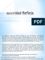 Actividad Refleja