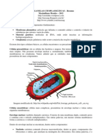 Resumo Organelas e Estruturas Celulares - Max - 2012