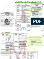 Bio ACE Form 4