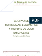 Cultivo de Hortalizas en Macetas