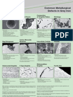 Common Metallurgical Defects in Grey Iron English (1