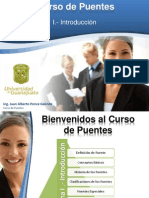 Curso de Puentes - I - Introduccion - PPSX