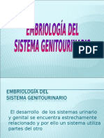 Embriologia de Aparato Genital y Genitourinario